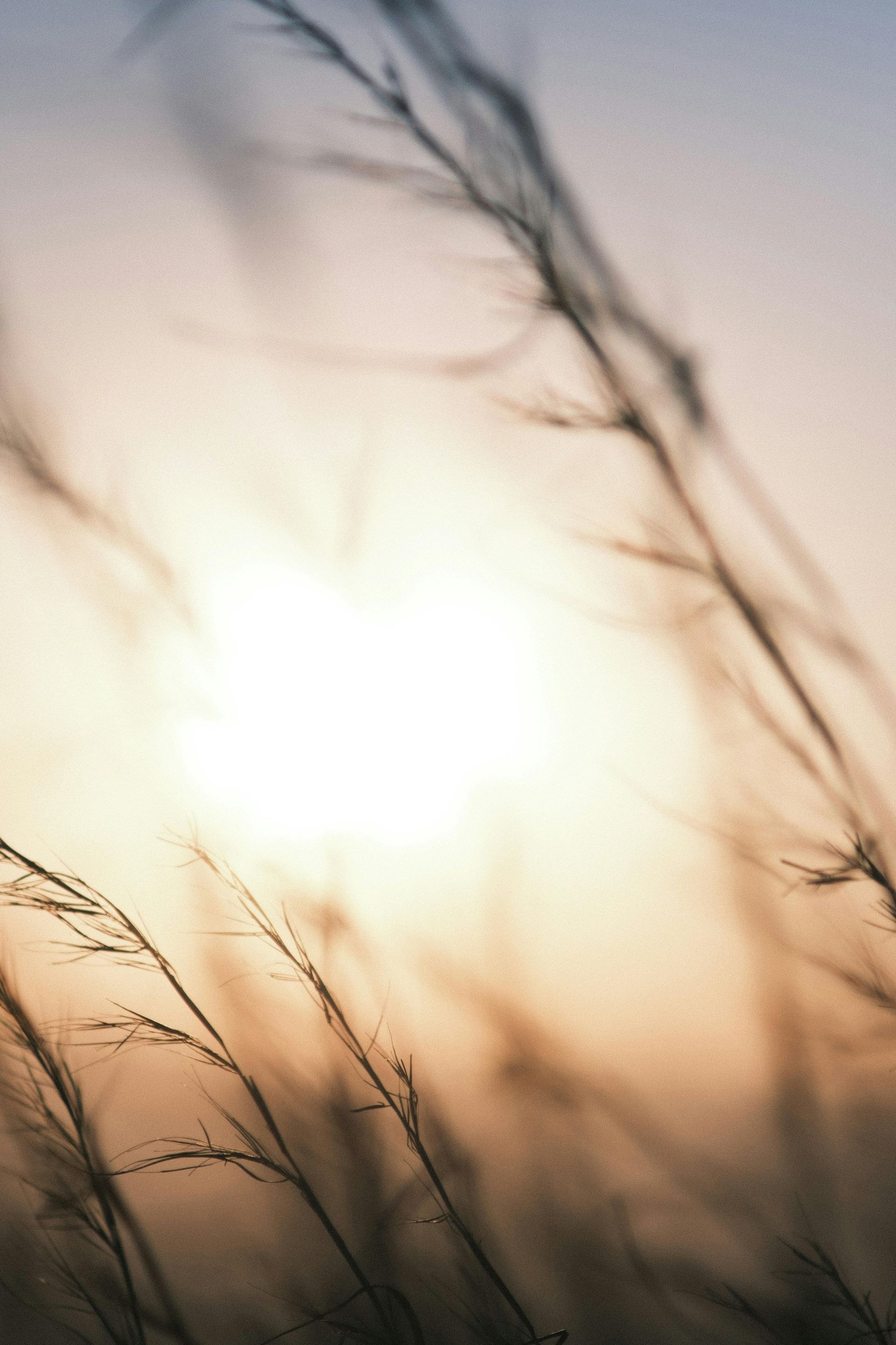 abstract-nature-image